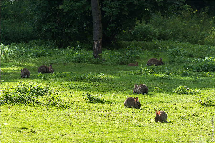 01-IMGP7234_web