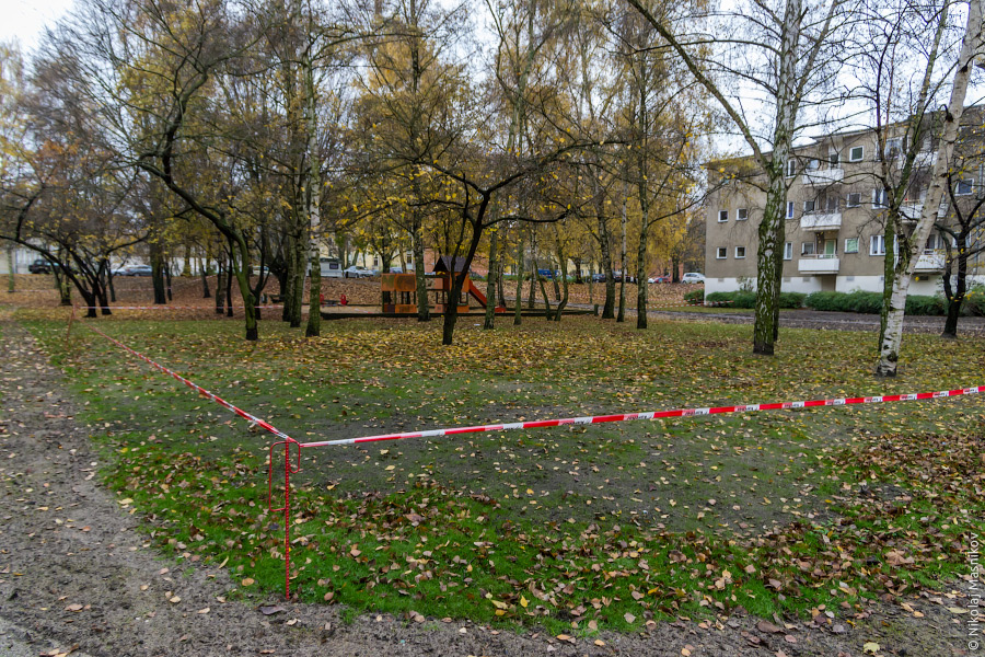 02-IMGP5437-web