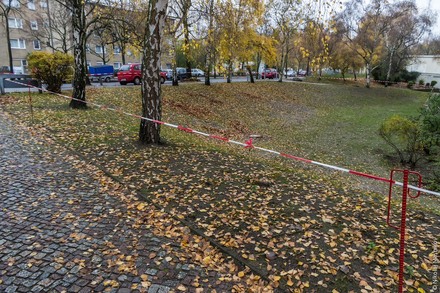 03-IMGP5423-web