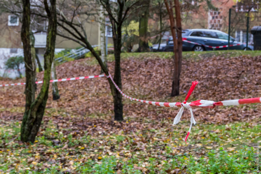 04-IMGP5429-web
