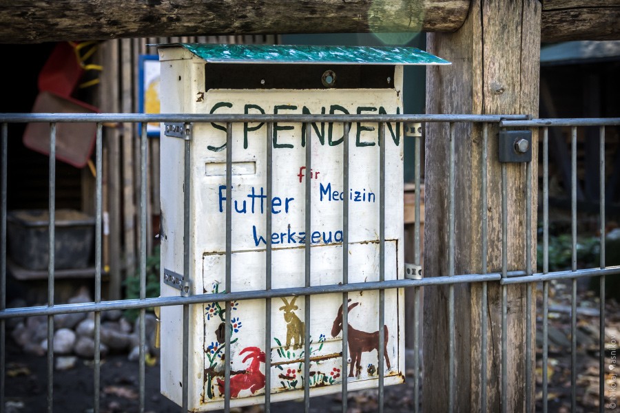 IMGP4491-web