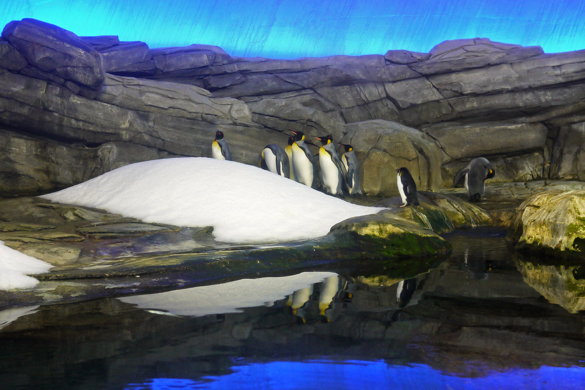 15388361236_zoo_berlin_1200