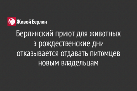 Берлинский приют для животных в рождественские дни отказывается отдавать питомцев новым владельцам