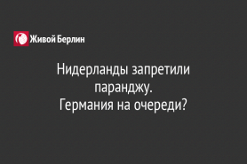 Нидерланды запретили паранджу.                                                 Германия на очереди?