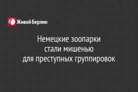 Немецкие зоопарки                                    стали мишенью                                                  для преступных группировок