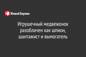 Игрушечный медвежонок разоблачен как шпион, шантажист и вымогатель
