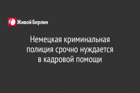 Немецкая криминальная полиция срочно нуждается                    в кадровой помощи