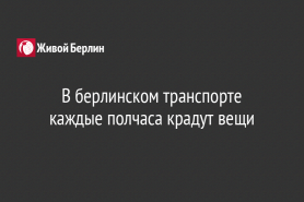 В берлинском транспорте каждые полчаса крадут вещи