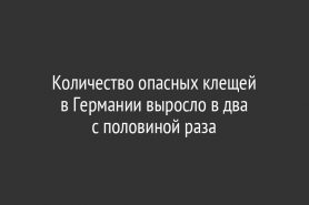 Количество опасных клещей в Германии выросло в два с половиной раза