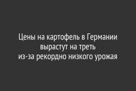 Цены на картофель в Германии вырастут на треть из-за рекордно низкого урожая