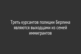 Треть курсантов полиции Берлина являются выходцами из семей иммигрантов