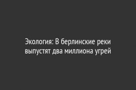 Экология: В берлинские реки выпустят два миллиона угрей