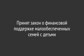 Принят закон о финансовой поддержке малообеспеченных семей с детьми