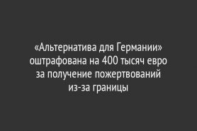 «Альтернатива для Германии» оштрафована на 400 тысяч евро за получение пожертвований из-за границы
