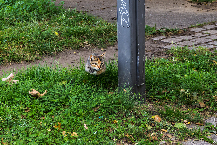 IMGP1201_web