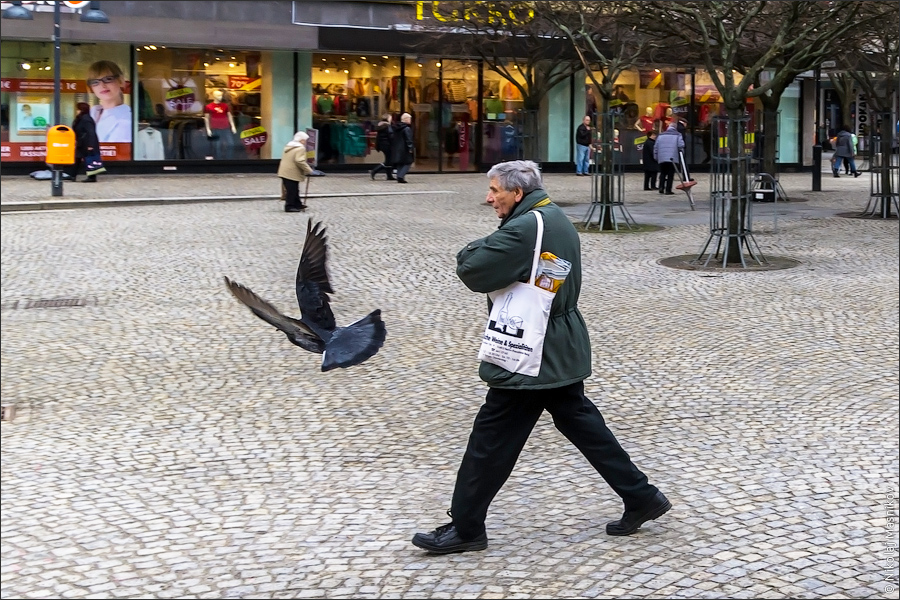 IMGP5627_web