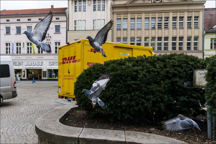 IMGP5635_web