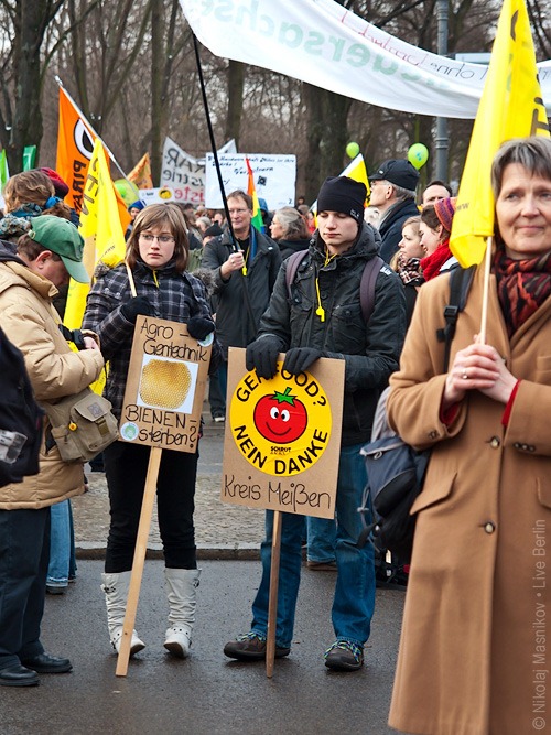 11. Демонстрация против ГМП
