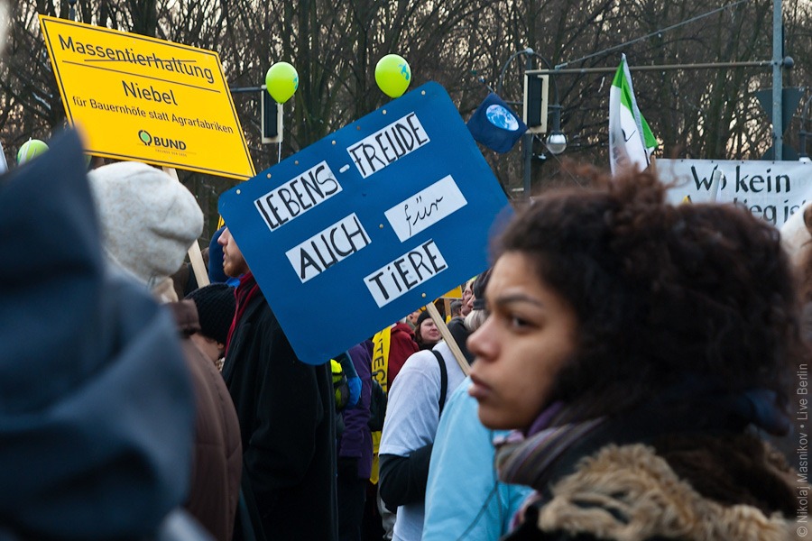 10. Демонстрация против ГМП