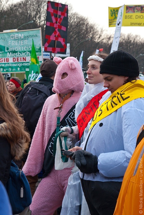 20. Демонстрация против ГМП