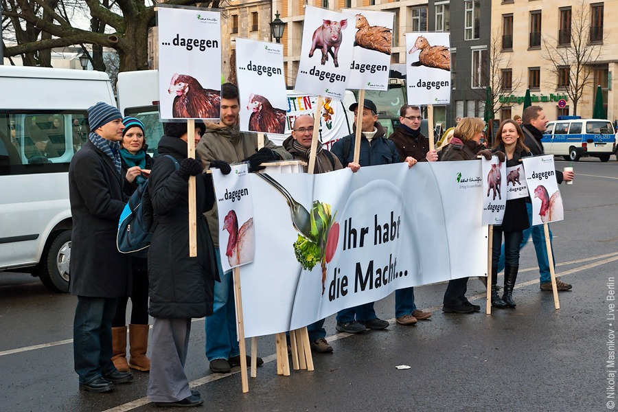 12. Демонстрация против ГМП