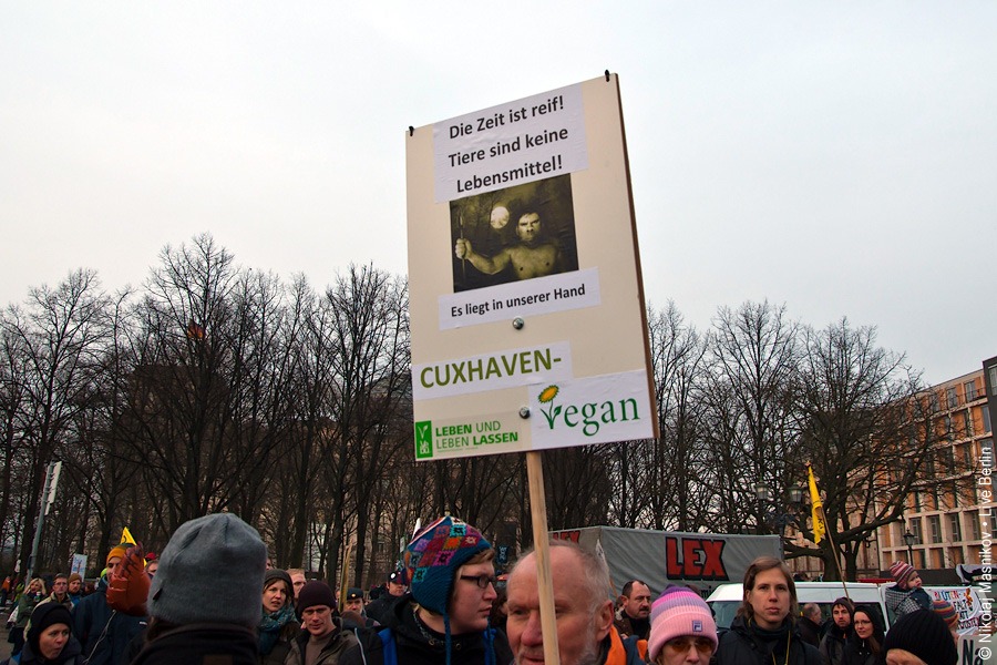 14. Демонстрация против ГМП