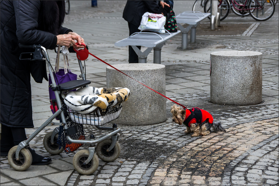 Wilmersdorfer Straße. ©LiveBerlin