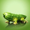 Grüne Woche 2011