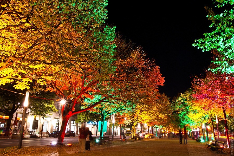 Festival of Lights 2010