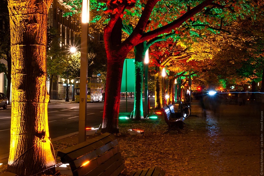 Festival of Lights 2010