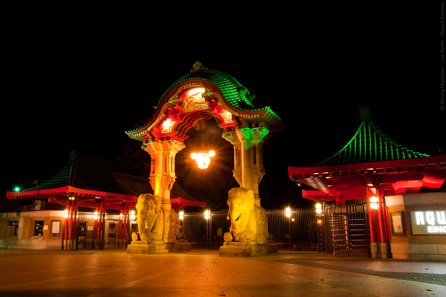 Festival of Lights 2010