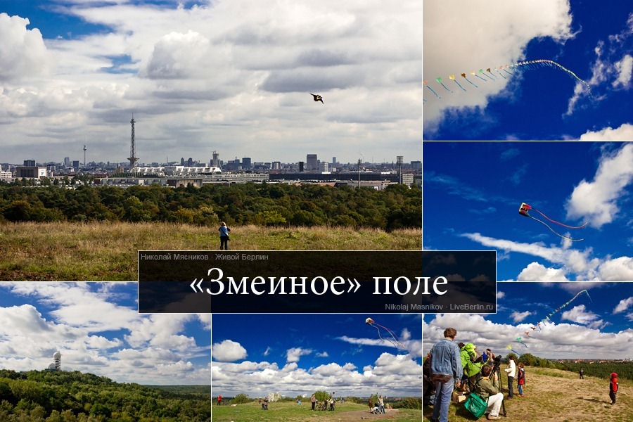«Змеиное» поле на&nbsp;Чёртовой горе
