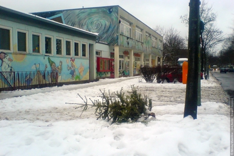 Праздничная ёлка. © Николай Мясников, Живой Берлин, 2010