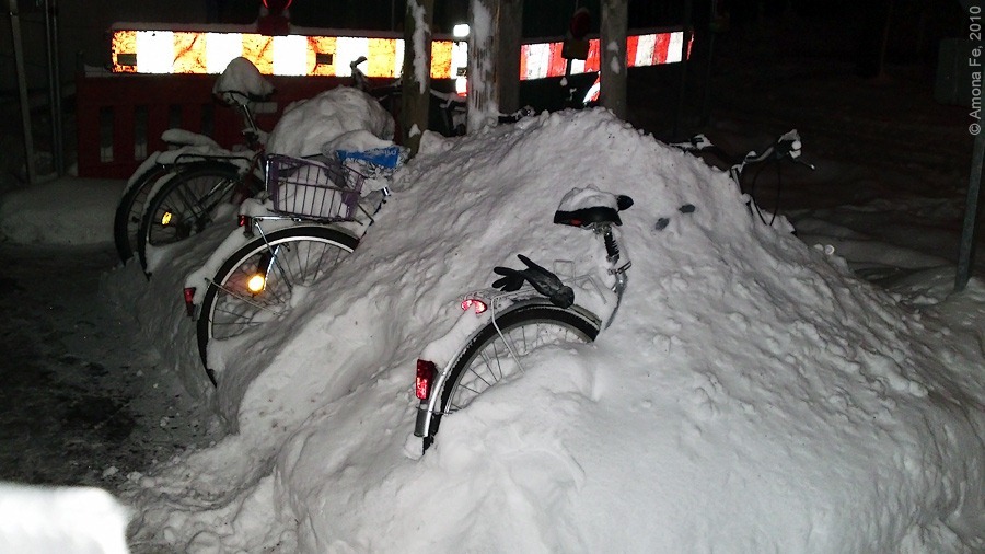Велики в&nbsp;снегу. © Амона Фе, 2010