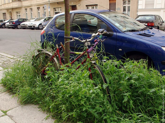 Парочка в&nbsp;густой траве
