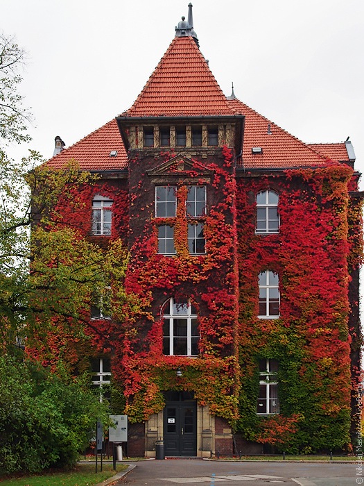 DRK Westend. Berlin · Charlottenburg