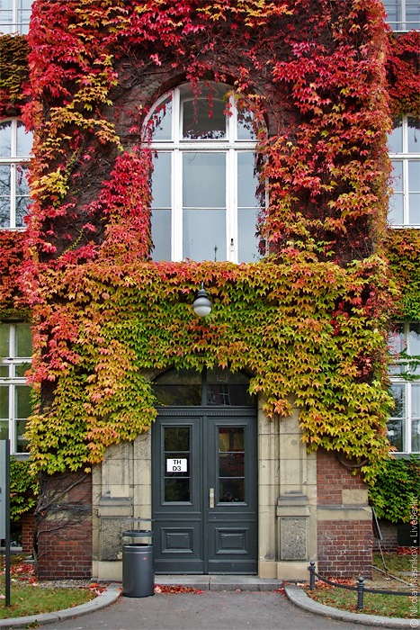 DRK Westend. Berlin · Charlottenburg
