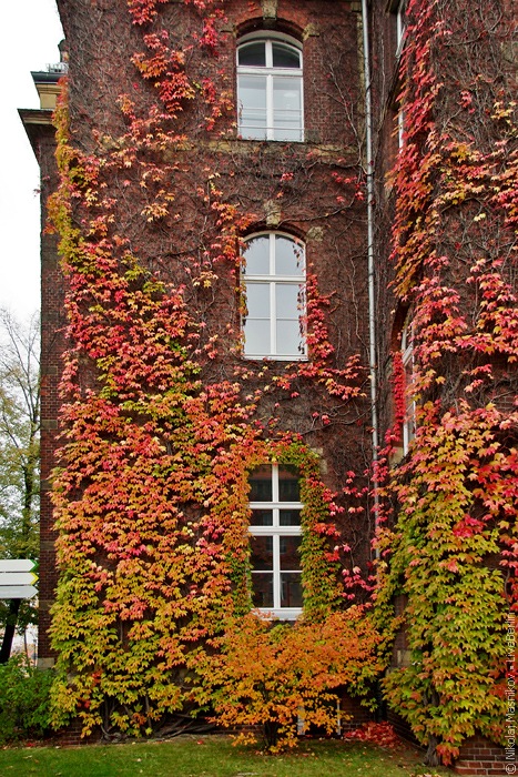 DRK Westend. Berlin · Charlottenburg