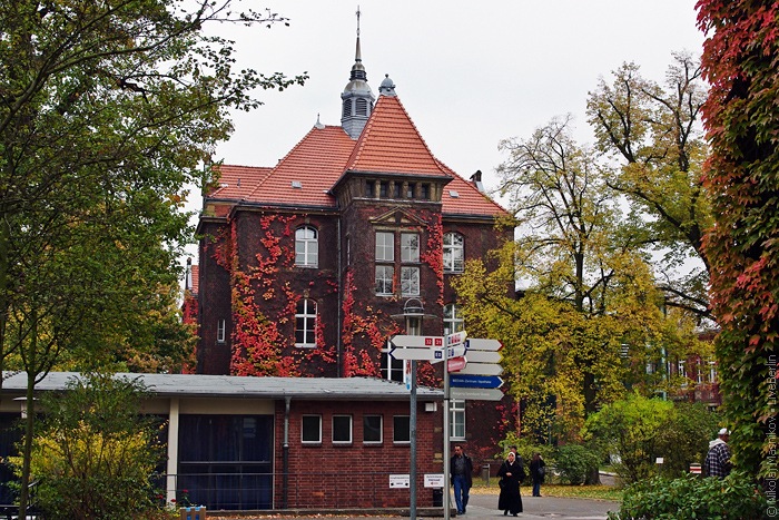 DRK Westend. Berlin · Charlottenburg